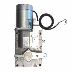 CAME 119RIG194 | Gearmotor